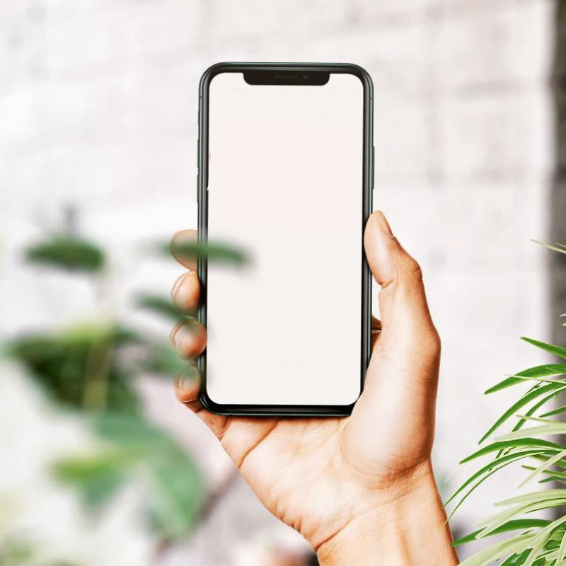 Gazio�lu Bedir �ifli�i