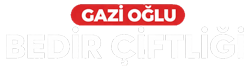 Gazio�lu Bedir �ifli�i